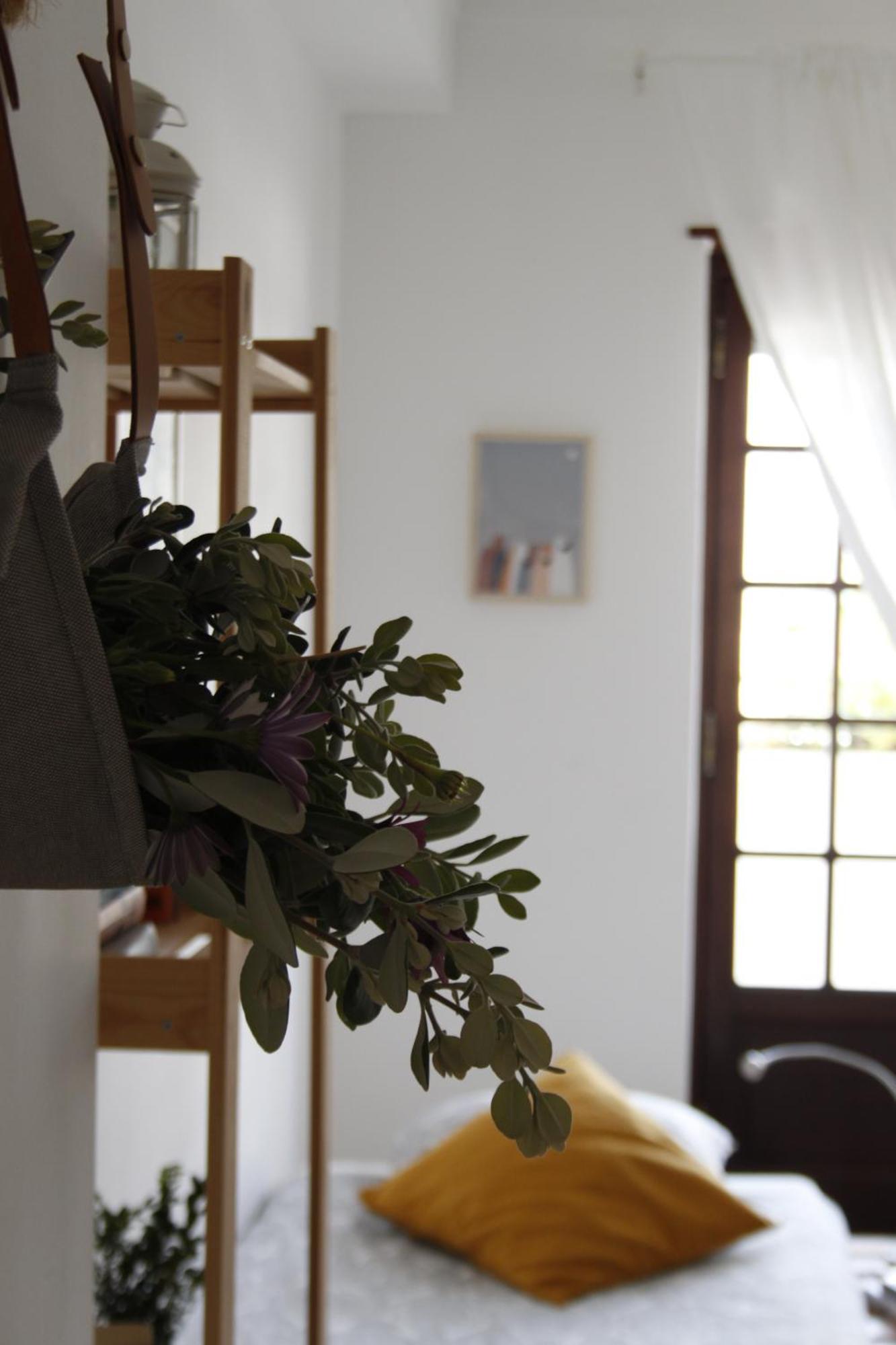 Boa Onda Guesthouse Atouguia Da Baleia Szoba fotó